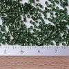 MIYUKI Delica Beads Small SEED-JP0008-DBS0182-4