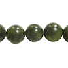 Olive Z0NCT015-1