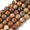 Dyed Natural Regalite/Imperial Jasper/Sea Sediment Jasper Beads Strands G-B124-C03-11-1