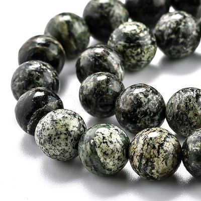 Natural Green Zebra Jasper Beads Strands G-L574-05B-1