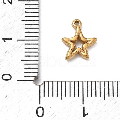 304 Stainless Steel Charms LS-SA-B007-02G-C-1