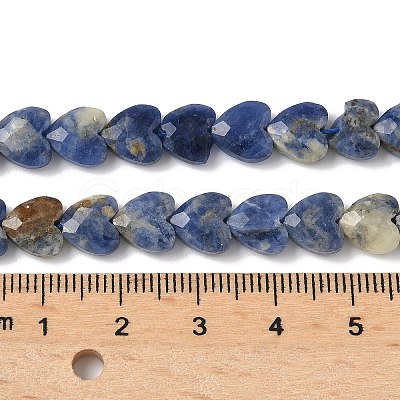 Natural Sodalite Beads Strands G-D316-B08-1
