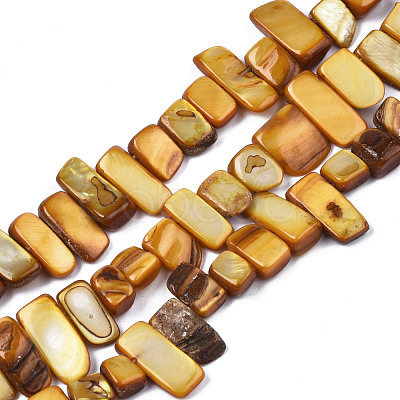 Natural Trochid Shell/Trochus Shell Beads Strands SHEL-S258-082-B09-1