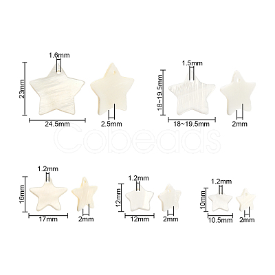 50Pcs 5 Style Freshwater Shell Pendants SHEL-CJ0001-22-1