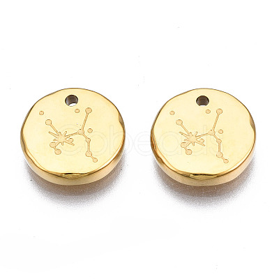 316 Surgical Stainless Steel Charms LS-STAS-S116-418G-G-1
