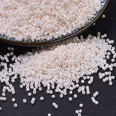 MIYUKI Delica Beads LS-X-SEED-J020-DB1490-1