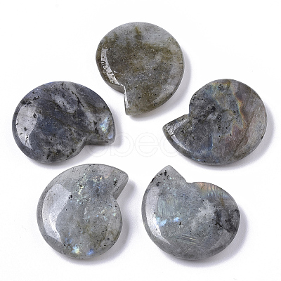 Natural Labradorite Beads X-G-R464-008A-1