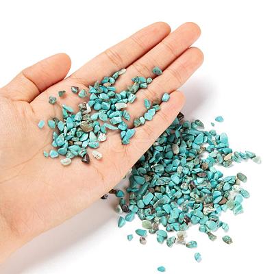 Synthetic Turquoise Chip Beads G-FS0001-13-1