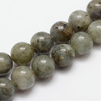 Natural Labradorite Bead Strands G-O155-05B-8mm-1