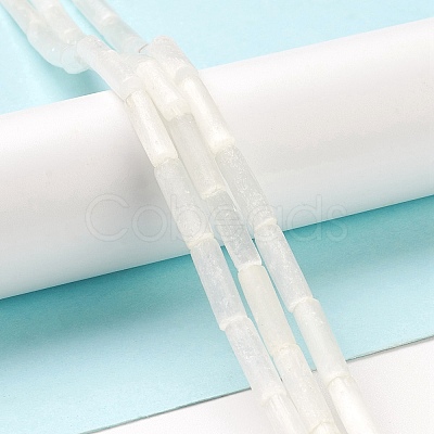 Natural Selenite Beads Strands G-K336-01-1
