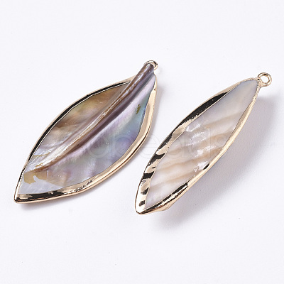 Natural Freshwater Shell Big Pendants SHEL-R048-09-1