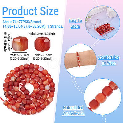 1 Strand Dyed Natural Red Banded Agate/Striped Agate Beads Strands G-TA0003-36-1