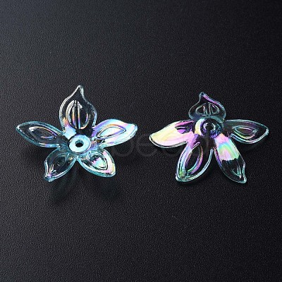 Transparent Acrylic Beads MACR-S373-102-C05-1