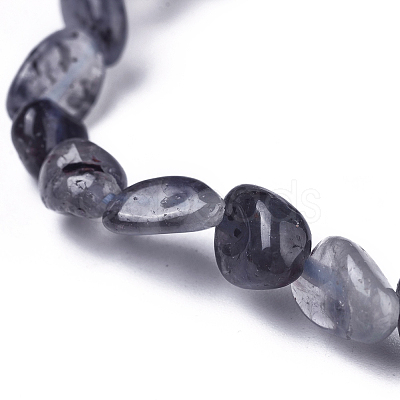 Natural Iolite/Cordierite/Dichroite Bead Stretch Bracelets BJEW-K213-41-1