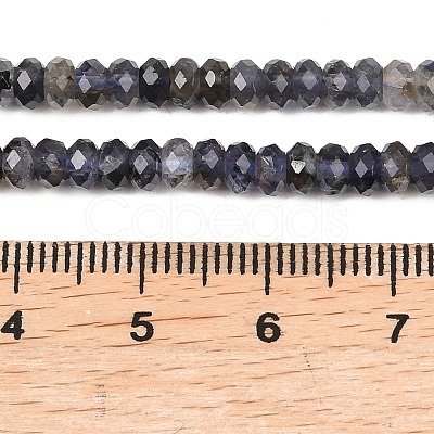 Natural Iolite Beads Strands G-P612-A02-01-1