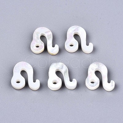Natural White Shell Beads X-SSHEL-ZX004-02J-1