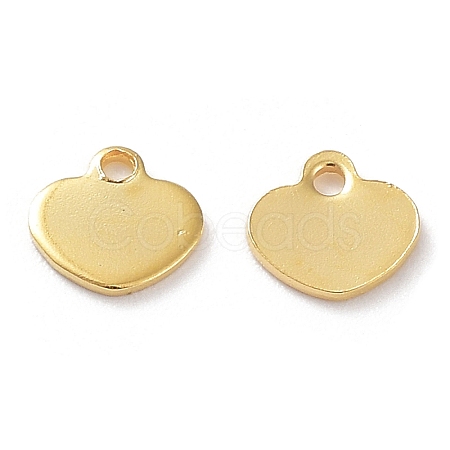 201 Stainless Steel Charms STAS-K259-08G-1