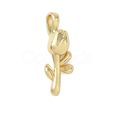 Brass Pendants KK-A273-29G-1