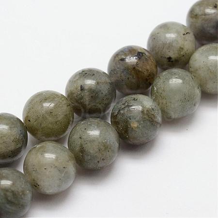 Natural Labradorite Bead Strands G-O155-05B-8mm-1