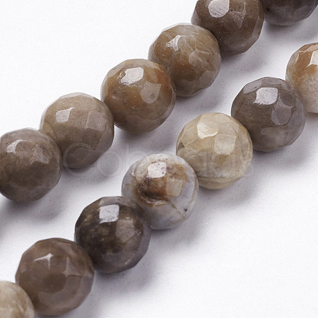 Natural Silver Leaf Jasper Beads Strands G-K181-8mm-O01-1