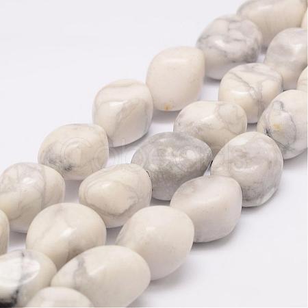 Natural Howlite Bead Strands G-K153-D15-1