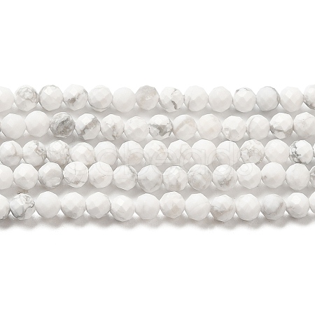 Natural Howlite Beads Strands G-E608-A01-B-1