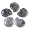 Natural Labradorite Beads, No Hole/Undrilled, Spiral Shell Shape, 32.5x28x8mm