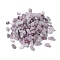 Acrylic Beads, Imitation Gemstone, Chip, Thistle, 4~13x4~6x4~5mm, Hole: 1.2mm