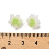 Luminous Resin Decoden Cabochons RESI-K036-06F-02-4