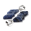 Natural Lapis Lazuli Pendants G-C057-01P-07-3