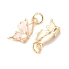 Brass Micro Pave Clear Cubic Zirconia with Enamel Charms CU-K002-50G-A-2