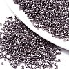 FGB 11/0 Grade A Glass Seed Beads SEED-S030-1204-1