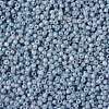 TOHO 11/0 Round Beads X-SEED-TR11-1205-2