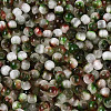 Drawbench Style Glass Seed Beads SEED-Q039-01L-3