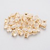 Eco-Friendly Plastic Ear Nuts STAS-K203-04A-G-1