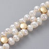 Beaded Bracelets BJEW-JB04749-04-2