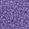 MIYUKI Delica Beads X-SEED-J020-DB1753-3