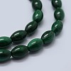 Natural Malachite Beads Strands G-F571-21-C-3