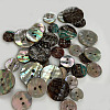 Abalone Shell/Paua Shell BSHE-I011-04A-5