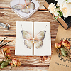 1Pc Square Transparent Acrylic Specimen Storage Empty Box CON-OC0001-54-4