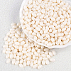 500Pcs Baking Paint Glass Seed Beads SEED-PA0001-05B-6