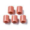 PE Fuse Beads X-DIY-R013-A42-3