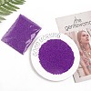Baking Paint Glass Seed Beads SEED-S001-K13-5
