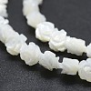 Natural White Shell Beads Strands SSHEL-P015-01A-10mm-3