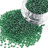 12/0 Grade A Round Glass Seed Beads X-SEED-Q011-F522-1