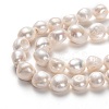 Natural Cultured Freshwater Pearl Beads Strands PEAR-L033-41B-01-2