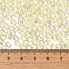 Transparent Colours Glass Seed Beads SEED-P007-02A-03-4