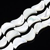 Natural Trochid Shell/Trochus Shell Beads Strands SSHEL-N034-97B-B01-1