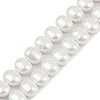 Electroplated Shell Pearl Beads Strands BSHE-H113-04C-1