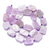 Natural Kunzite Beads Strands G-K245-J06-01-2